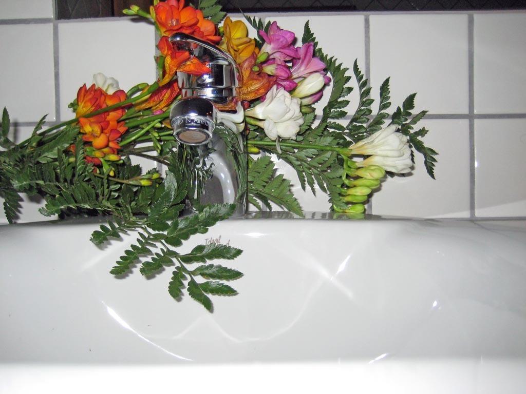 B&B Le Fresie Nuoro  Ngoại thất bức ảnh